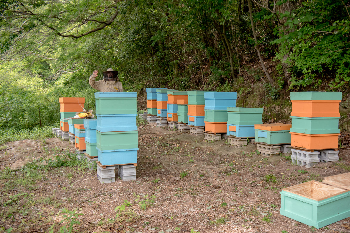 Benton Homestead Pure Honey » Ōmishima Island, Japan