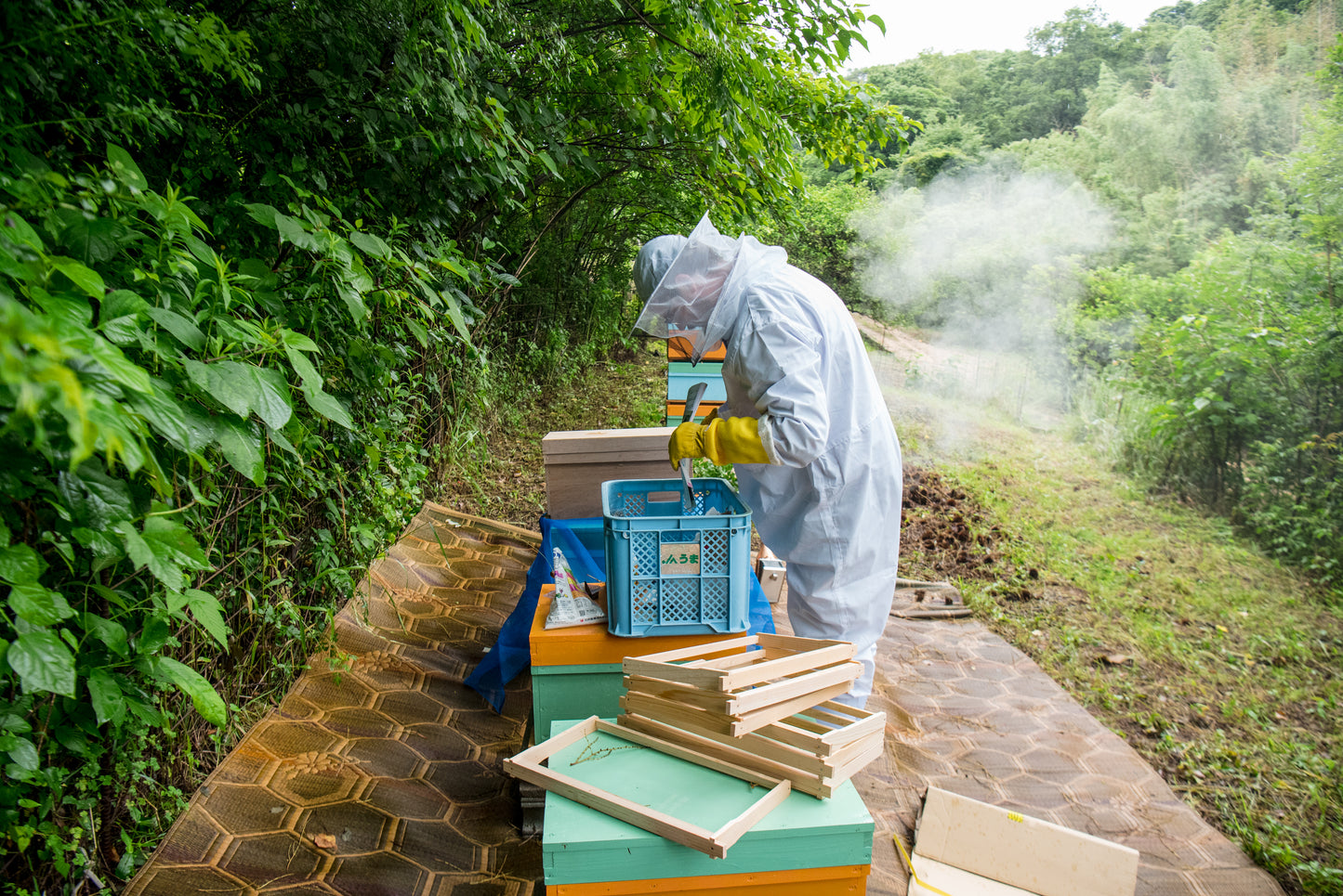 Benton Homestead Pure Honey » Ōmishima Island, Japan