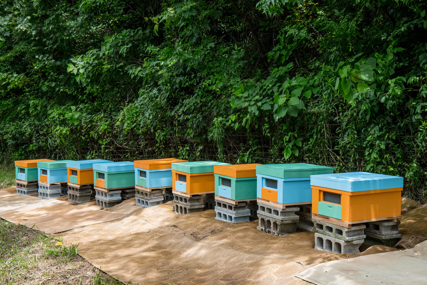 Benton Homestead Pure Honey » Ōmishima Island, Japan